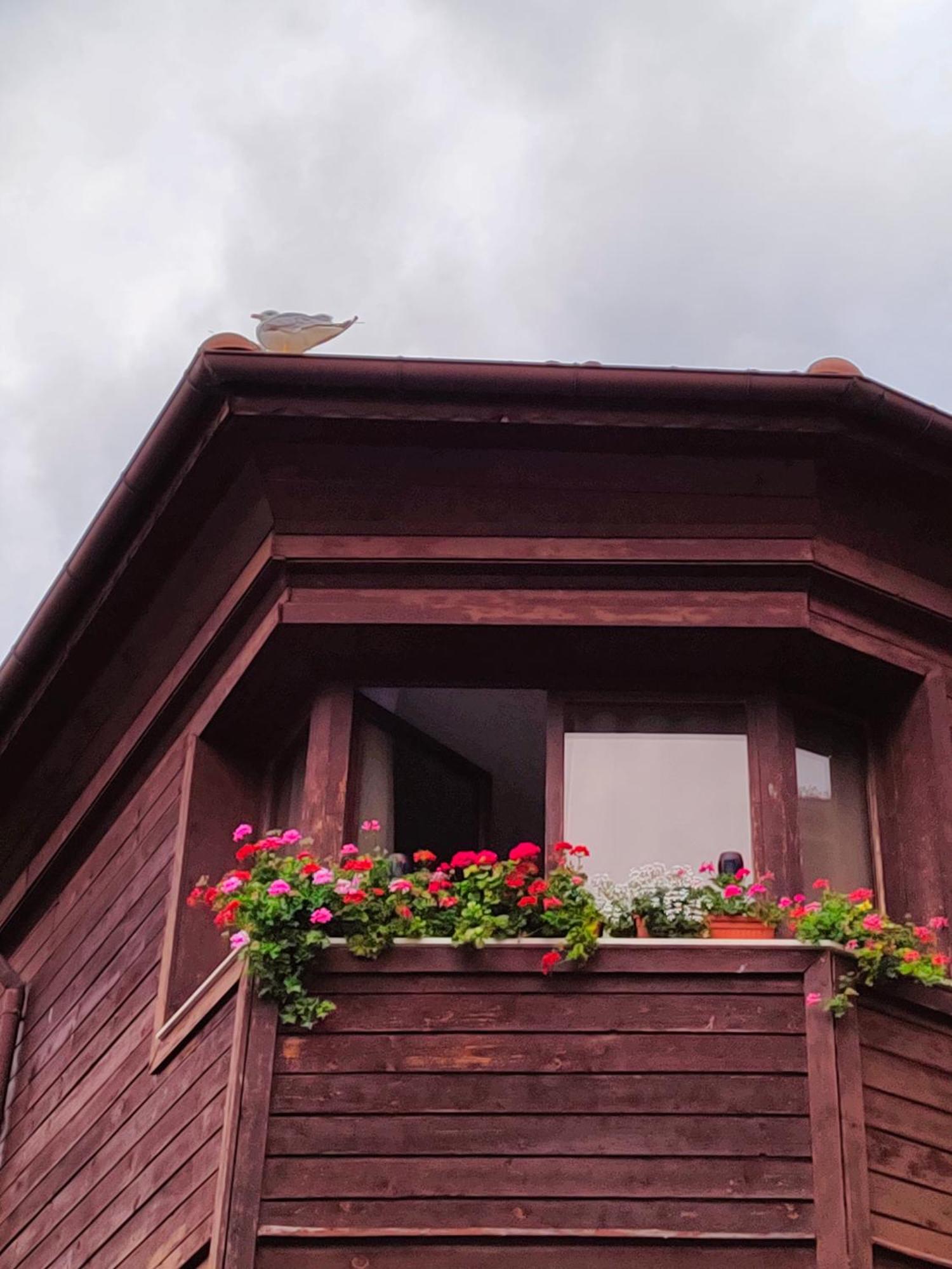 Guest Rooms Melsambria เนเซบาร์ ภายนอก รูปภาพ